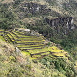 CAMINO INCA