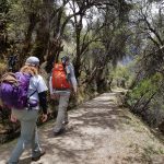 SALKANTAY TREKKING